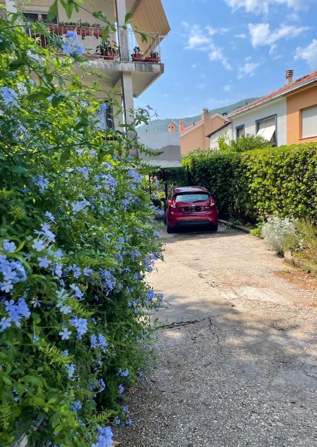 Apartment Garden Kotor Exterior photo