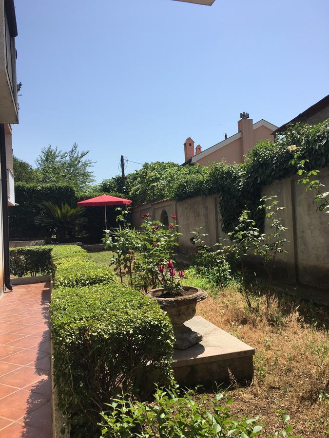 Apartment Garden Kotor Exterior photo